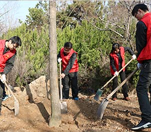 泰钢志愿者义务植树